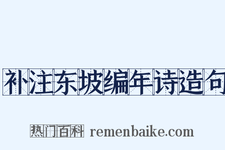补注东坡编年诗造句是什么意思的图片